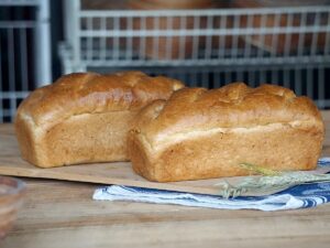 Pszenny tost 400g