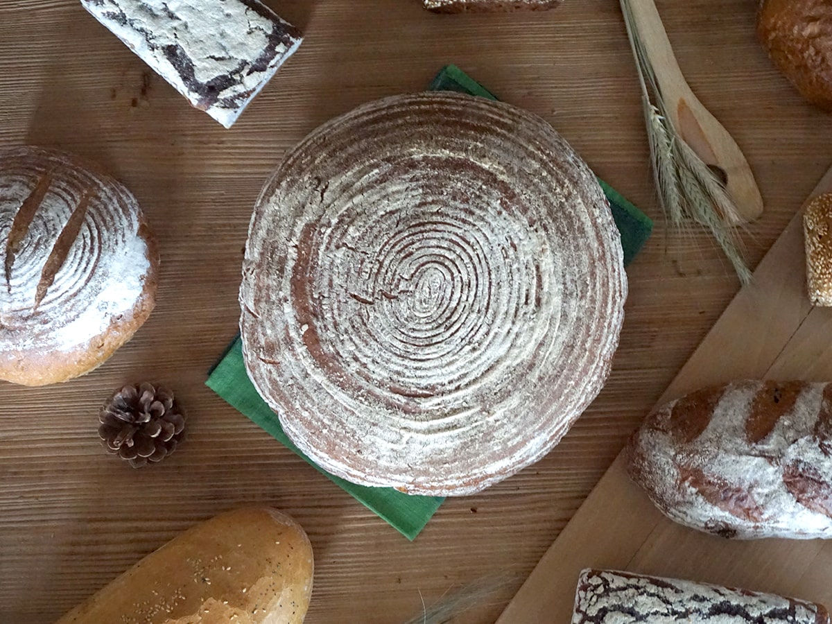 Chleb Babuni na naturalnym zakwasie – poznaj bliżej nasz sztandarowy produkt